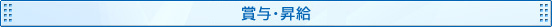 初任給／賞与・昇給